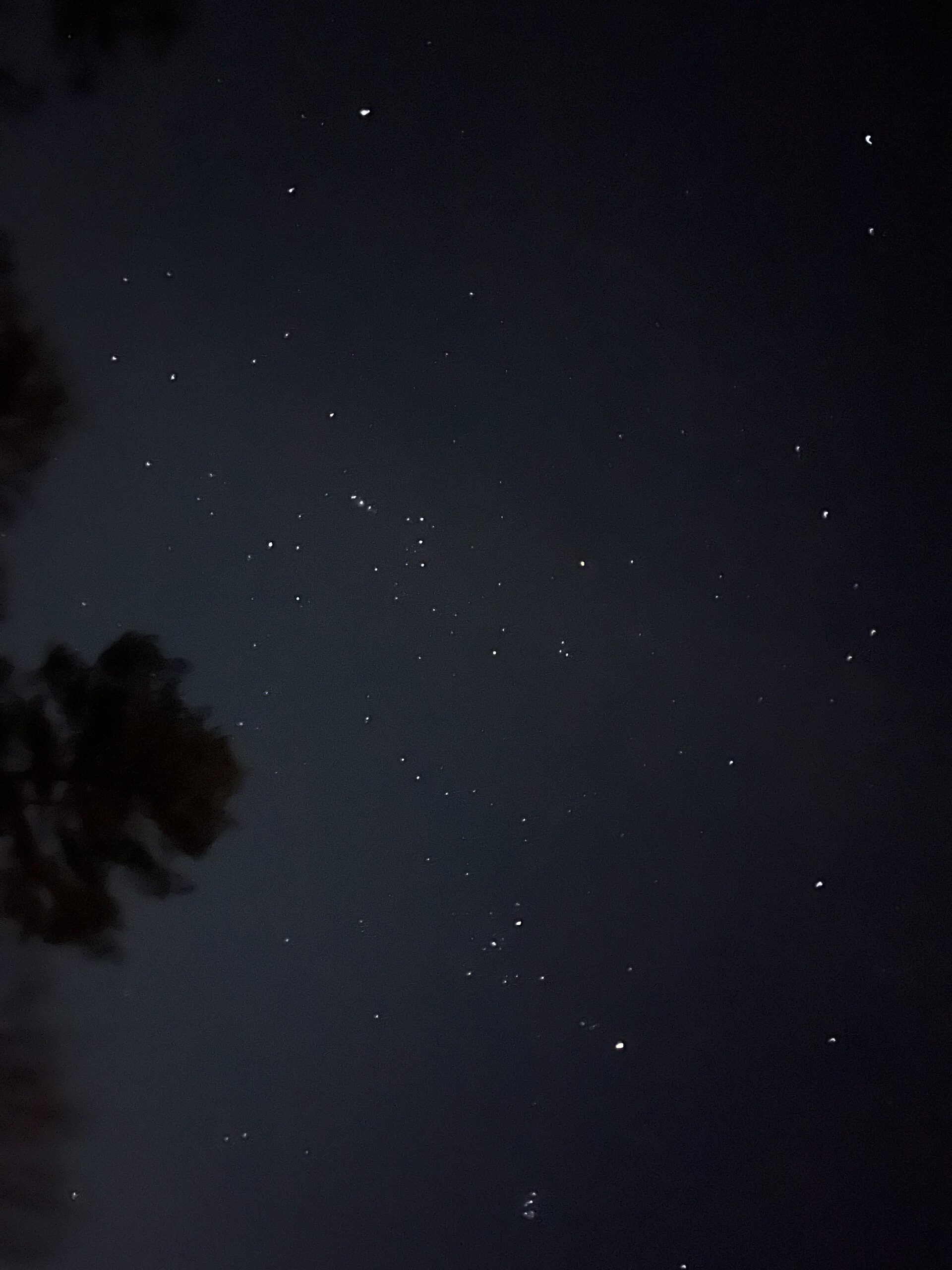 道志の森キャンプ場で見た満点の星